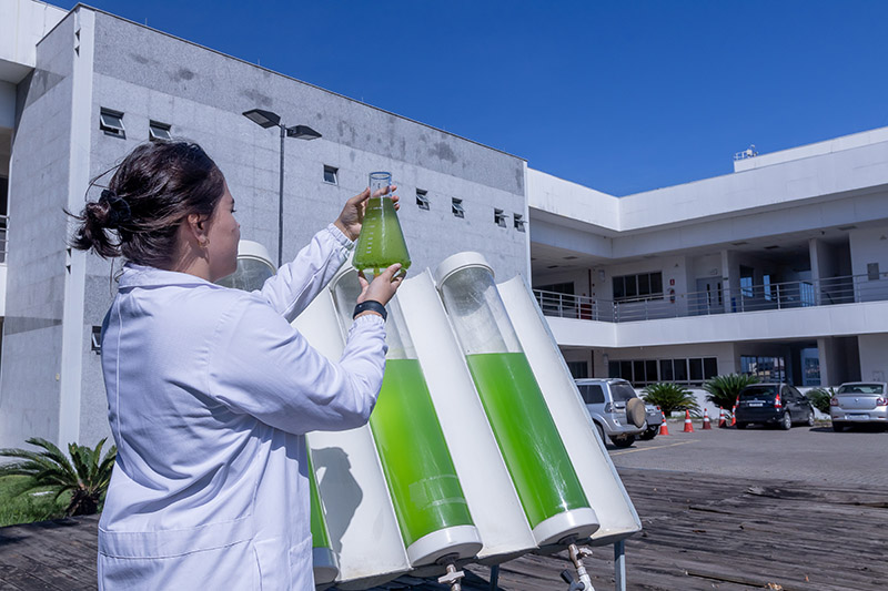 Biocombustíveis (Biogás e Biodiesel)